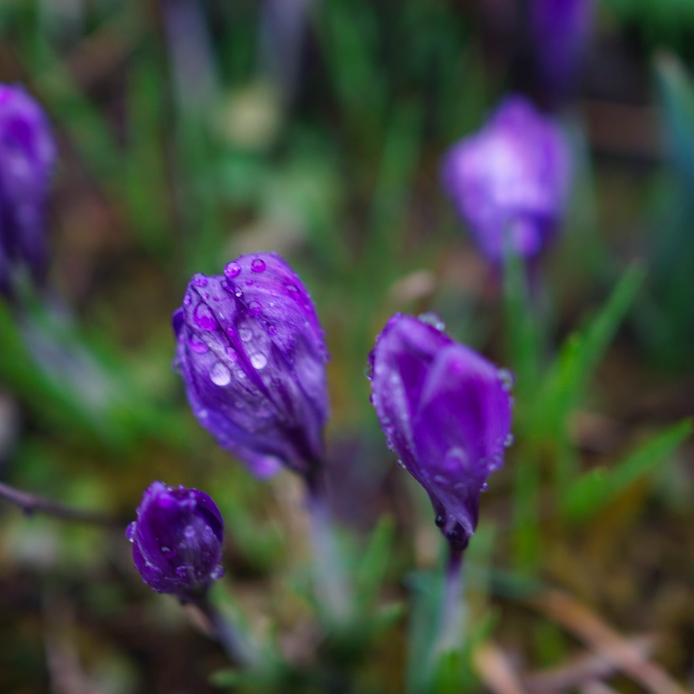 Meet your Posher, Annaka